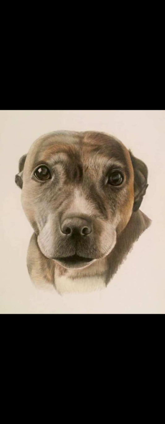 a4 custom made glass chopping board